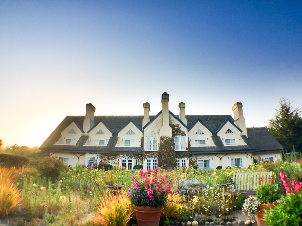 Seal Cove Inn, Half Moon Bay | www.suzanneobrienstudio.com