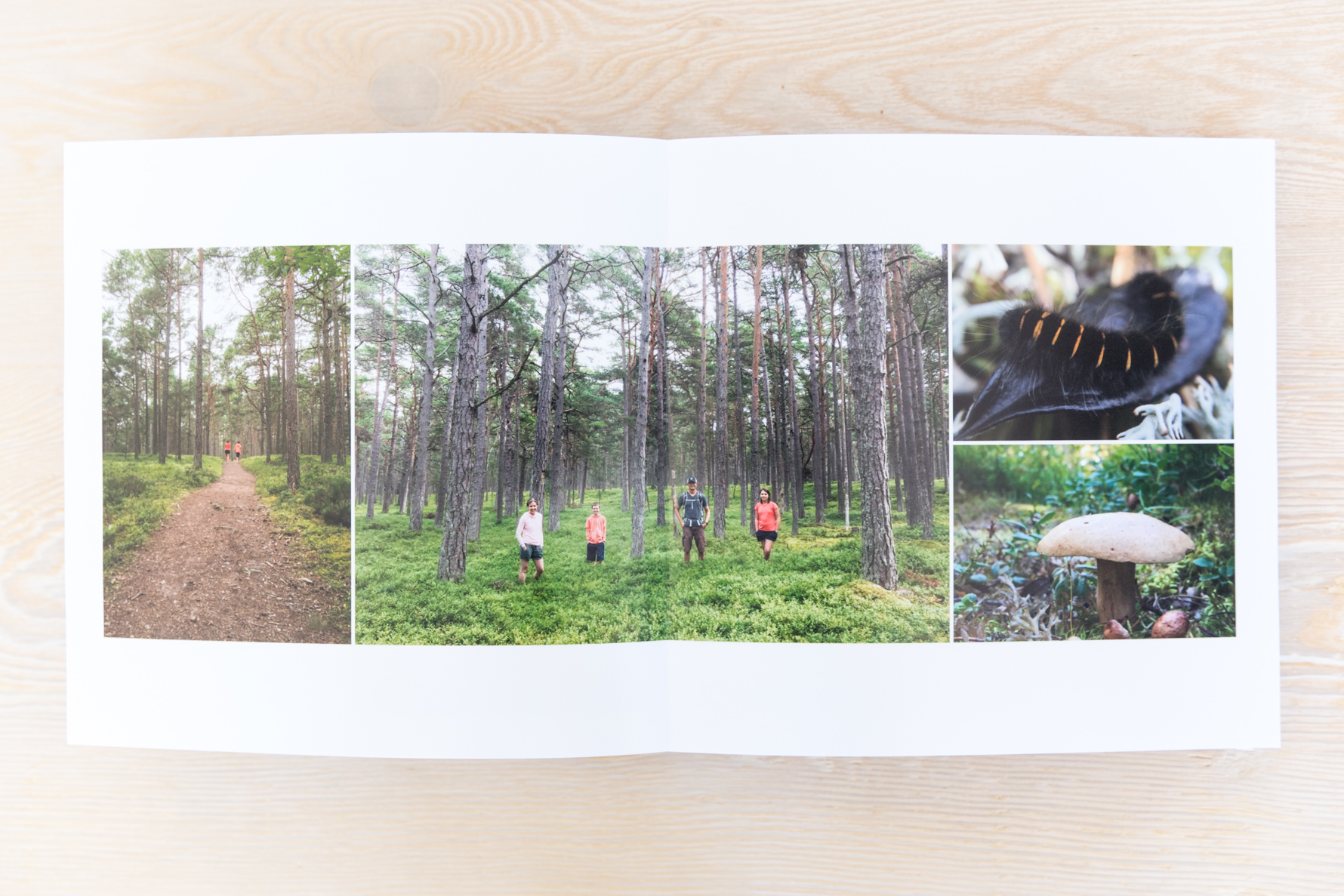 On Documenting Your Travels | A Blog Post by Suzanne O'Brien | Sweden & Norway Vacation Photo Book | www.suzanneobrienstudio.com