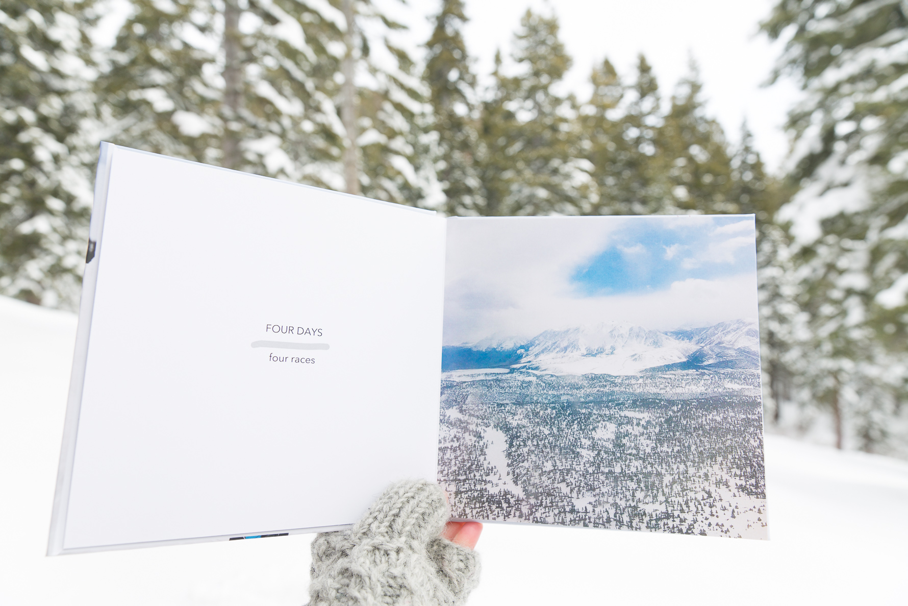 small photo book, big impact | suzanneobrienstudio.com