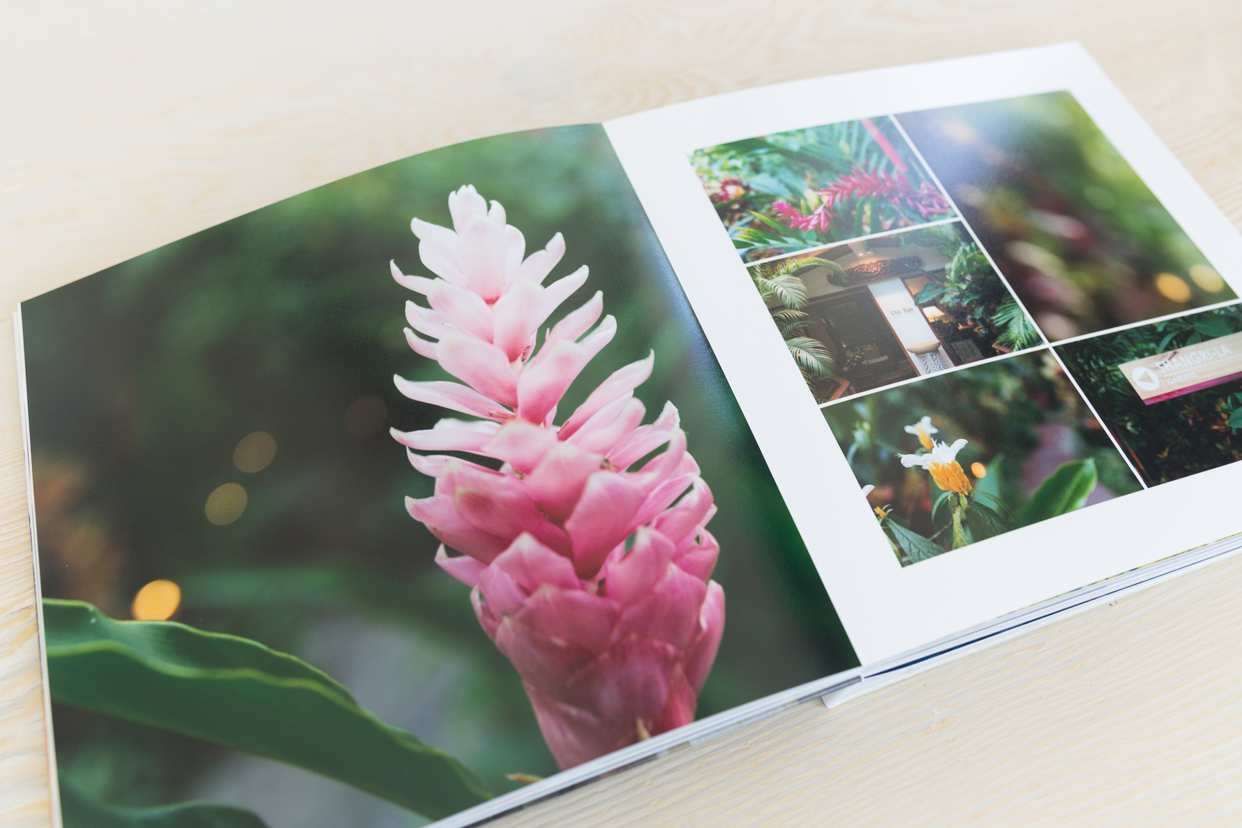 Print Your Photos | Travel Photo Book | Costa Rica | www.suzanneobrienstudio.com