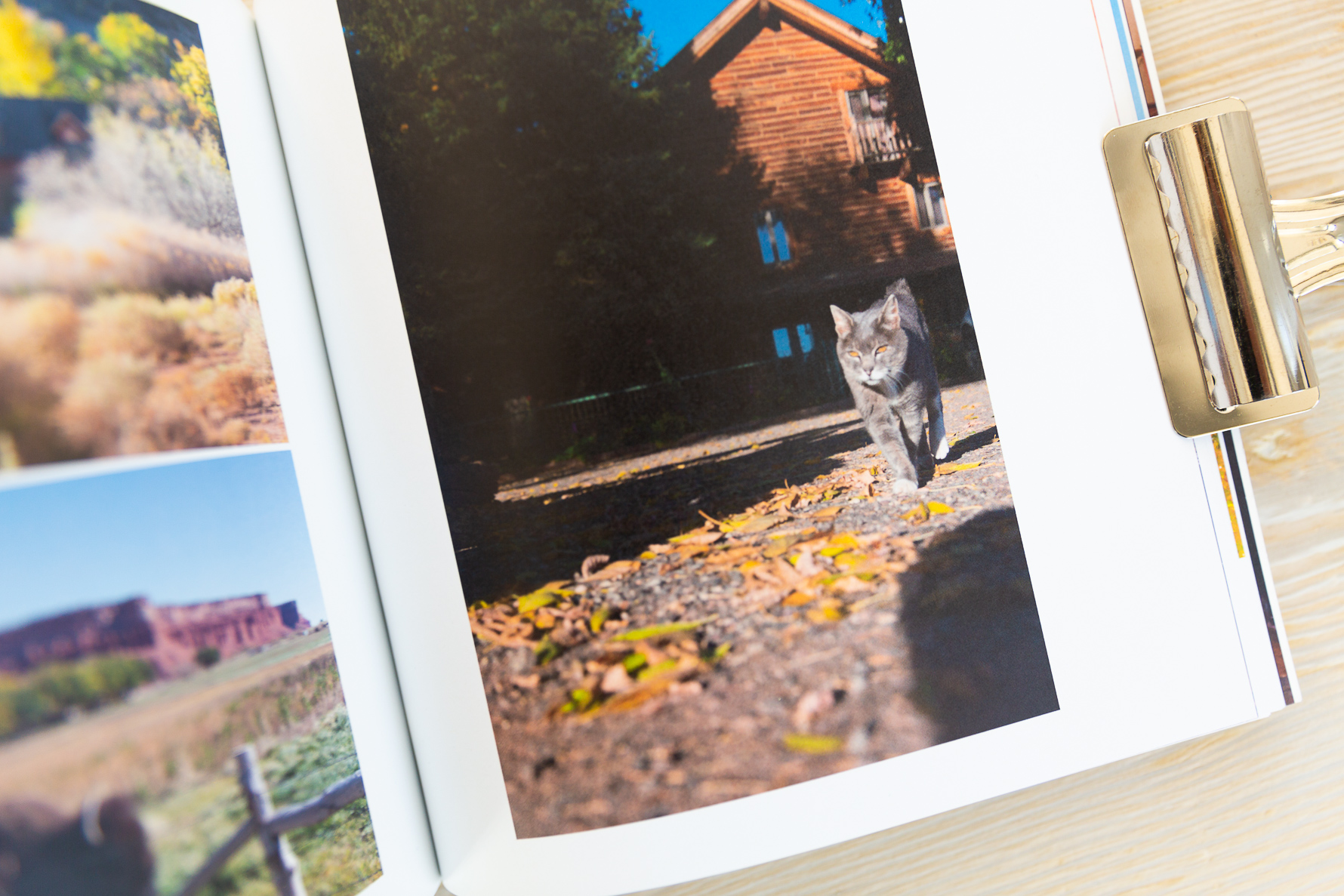 Celebrating the fall beauty of Utah in a custom designed photo book | suzanneobrienstudio.com