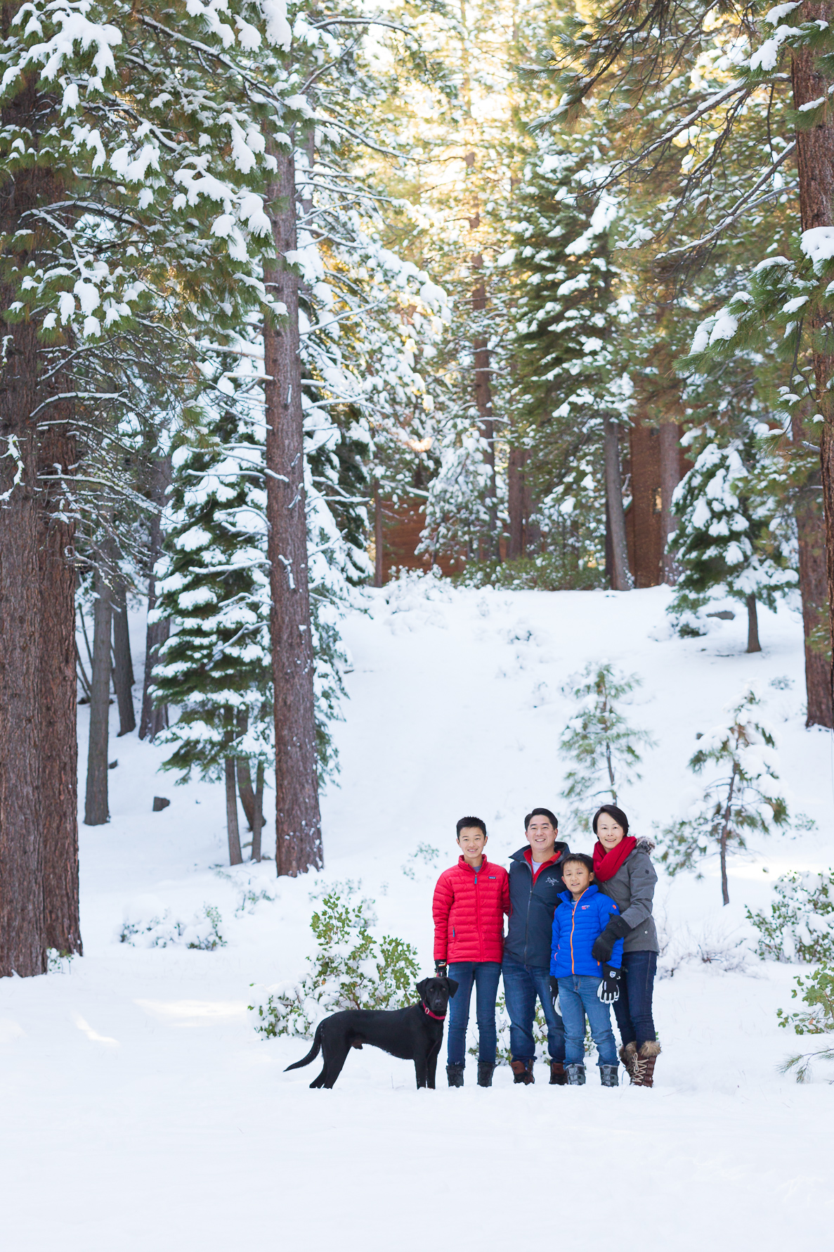 Tahoe Family Session | SuzanneOBrienStudio.com