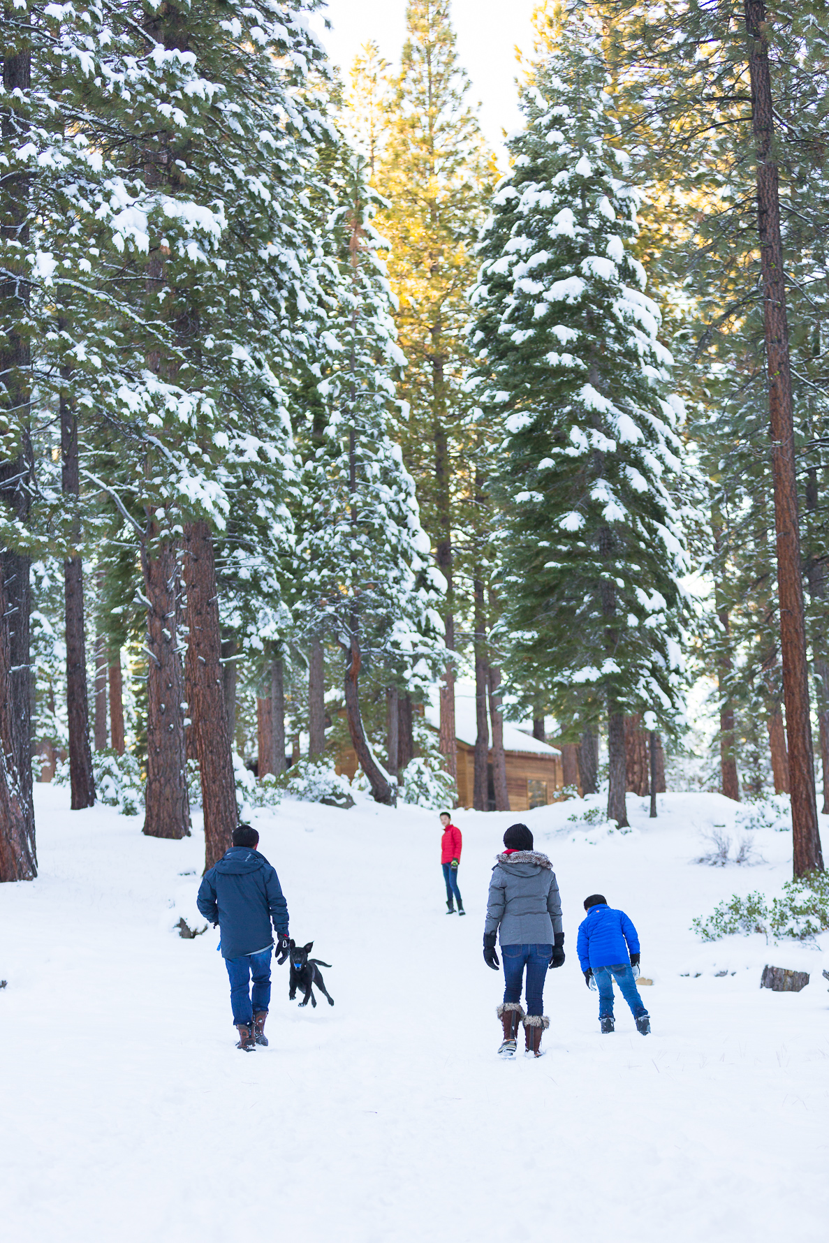 Tahoe Family Session | SuzanneOBrienStudio.com