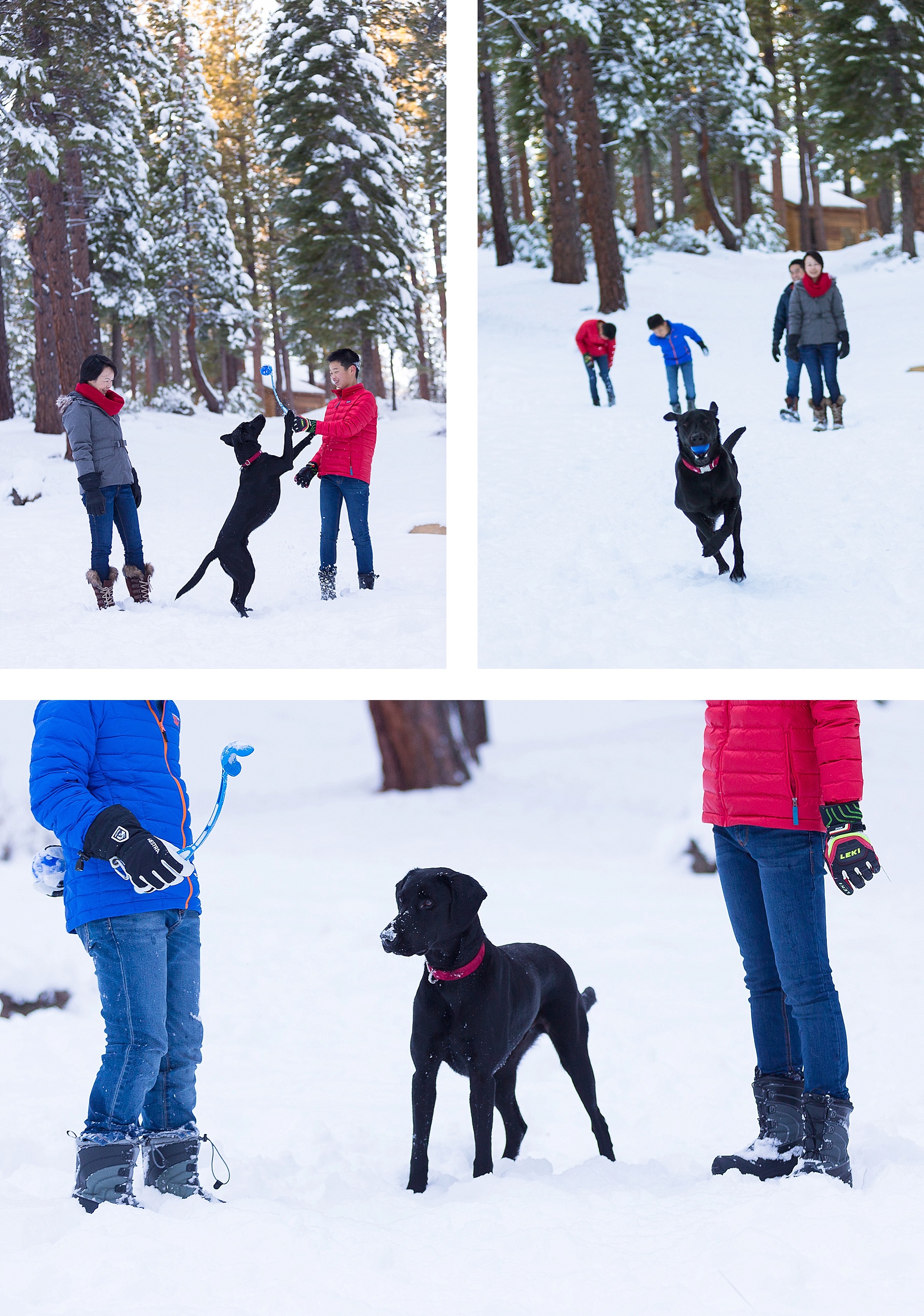 Tahoe Family Session | SuzanneOBrienStudio.com