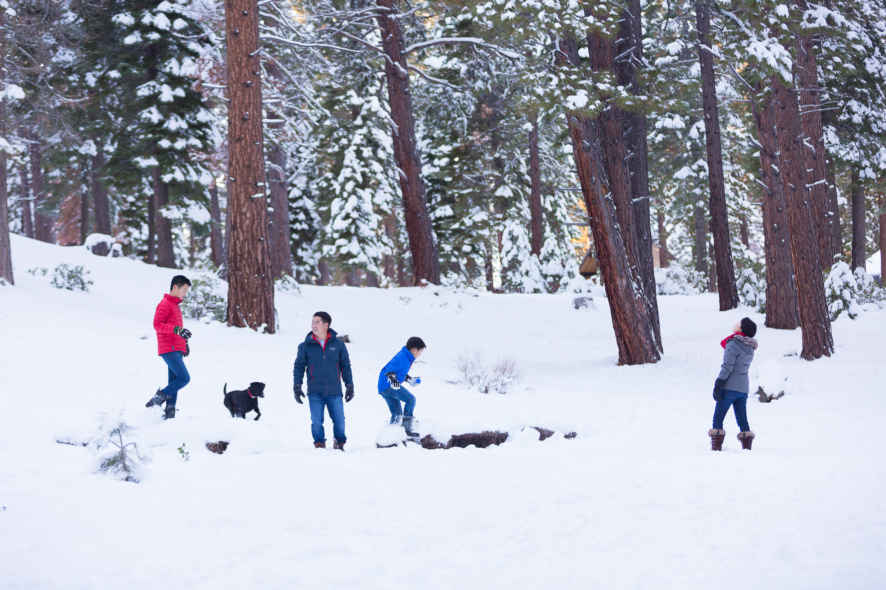 Tahoe Family Session | SuzanneOBrienStudio.com