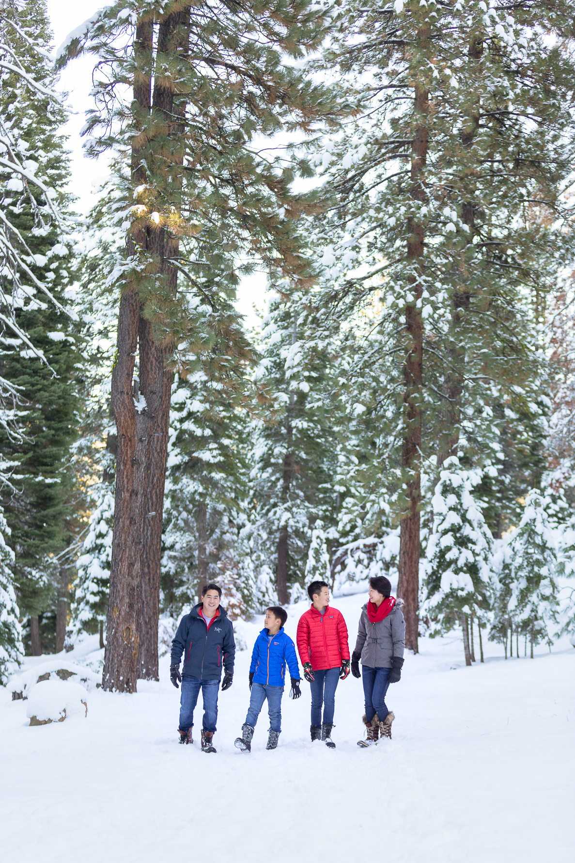 Tahoe Family Photography Session | SuzanneOBrienStudio.com