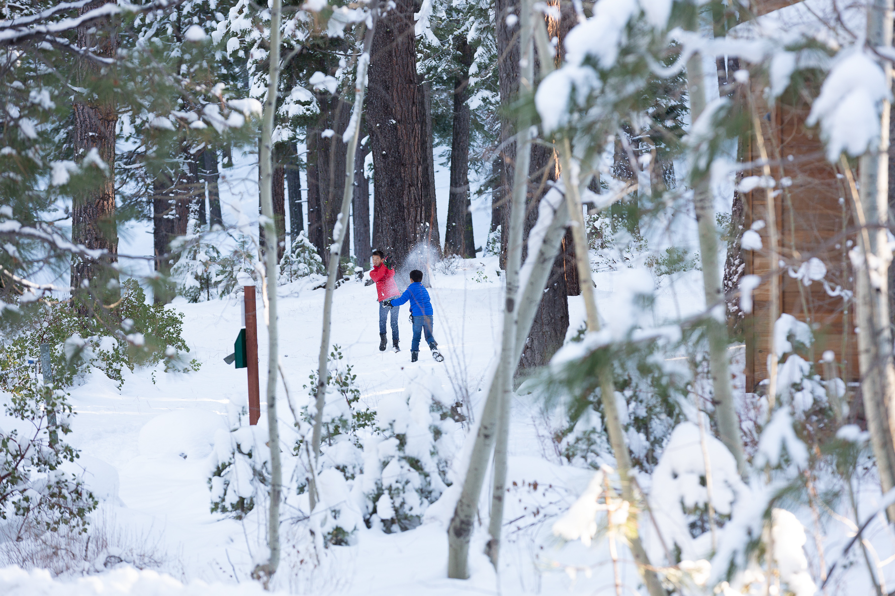 Tahoe Family Session | SuzanneOBrienStudio.com