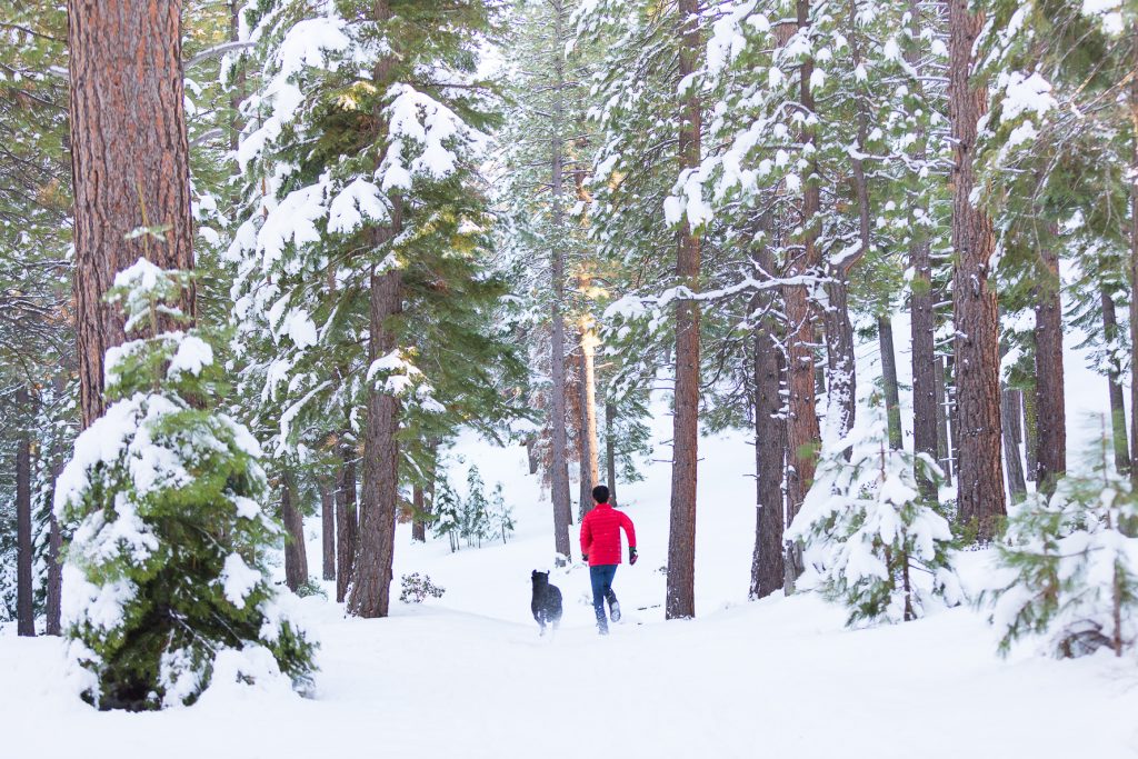 Tahoe Family Session | SuzanneOBrienStudio.com