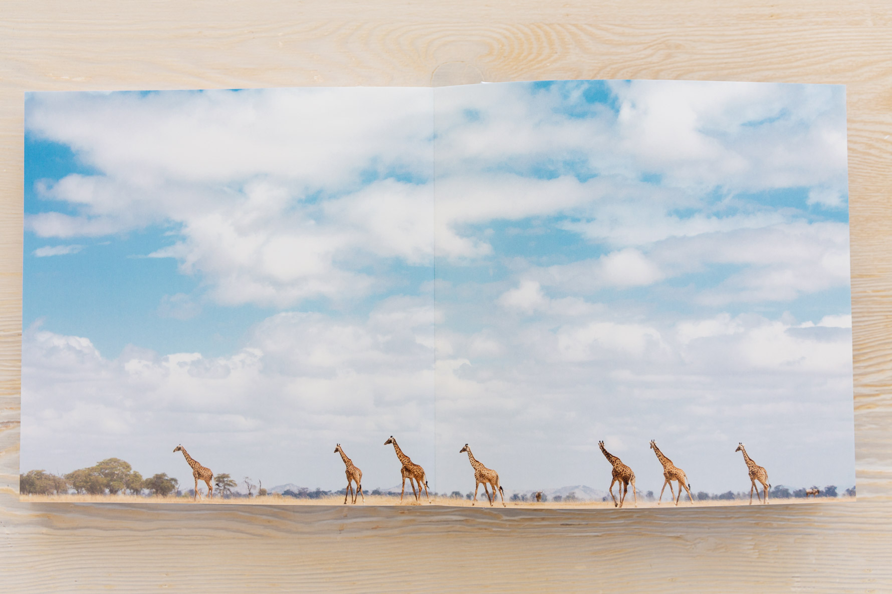 Document Your Travels | Kenya Africa Photo Book | suzanneobrienstudio.com